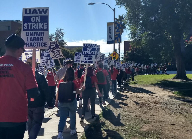 Statement of Support for the UAW Academic Workers Strike